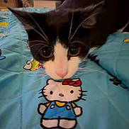 Tequila Rodriguez.m is registered to the contest to win money with this photo: cat, black_and_white_cat, bedroom, blanket, hello_kitty, cartoon, curious, pet, indoor, close_up, furniture, colorful, quilt, whiskers, animal, mammal, cute, soft_lighting, domestic_cat, playful
