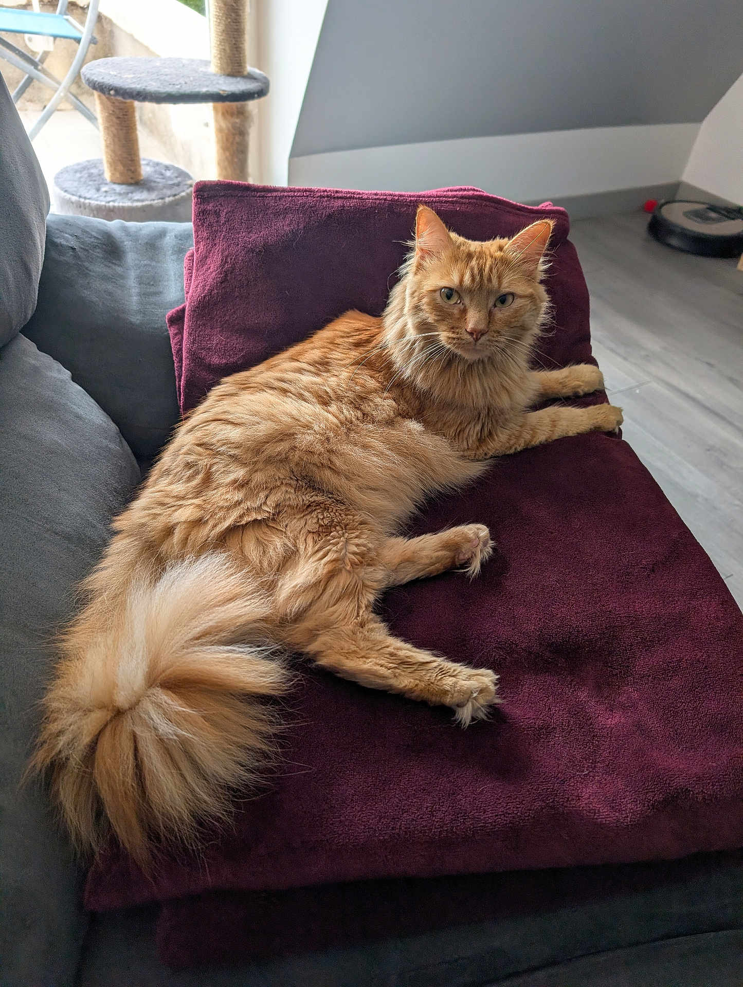 Kurama