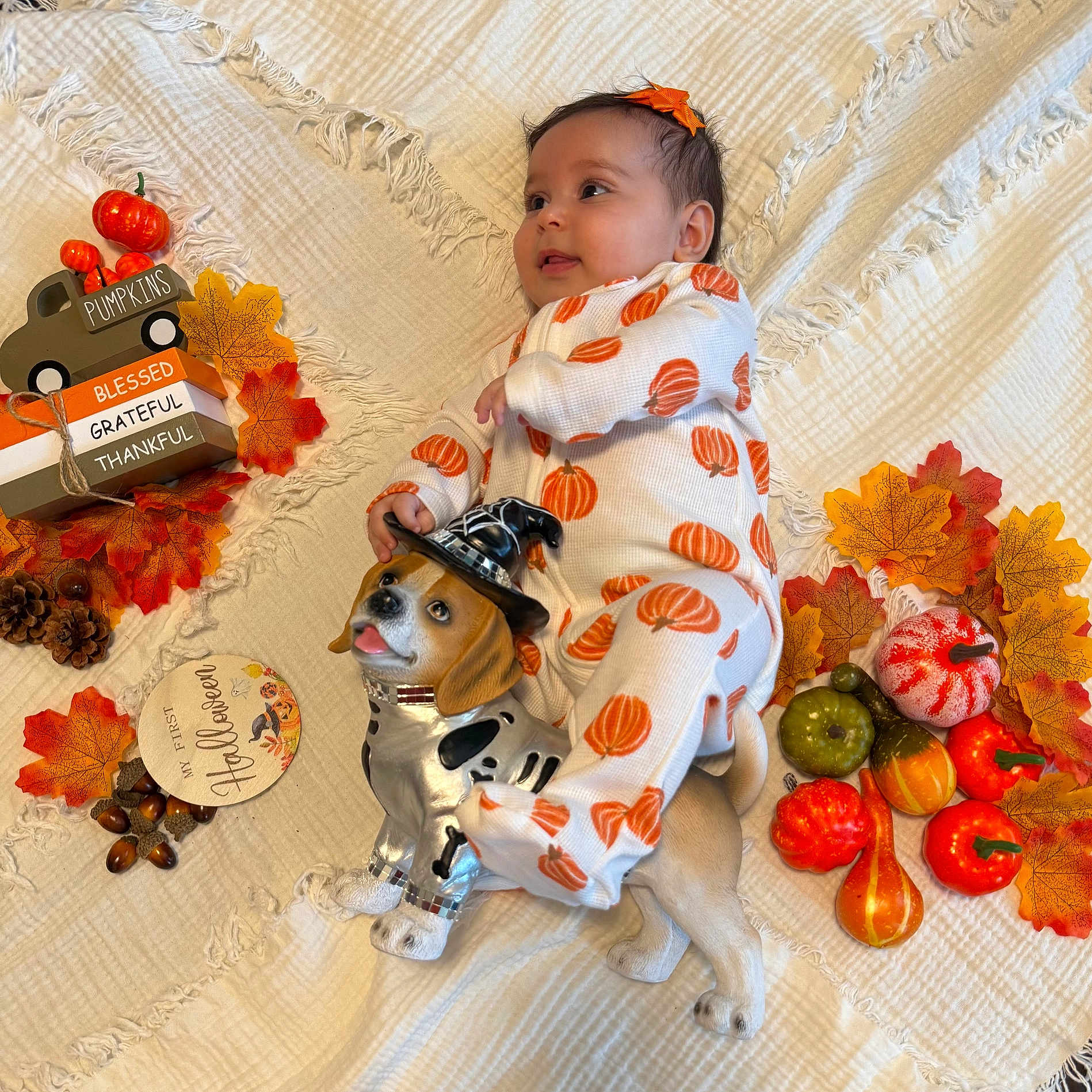 Mary is registered to the contest to win money with this photo: acorns, autumn_leaves, baby, blanket, blessed, child, cozy, cute, decorative_blocks, dog_figurine, fall_decor, festive, grateful, mini_pumpkins, orange, portrait, pumpkin_onesie, thankful, toy, white