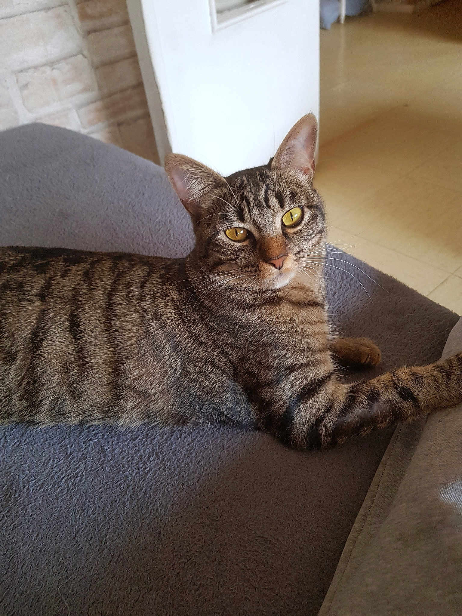 Kyra