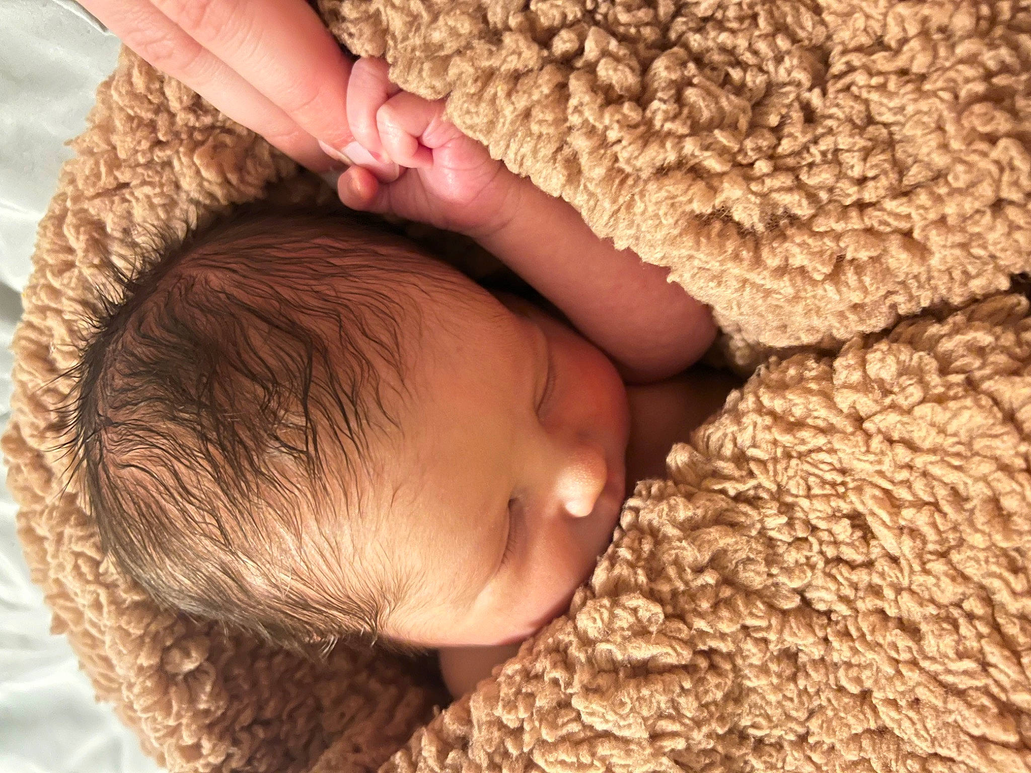 Everette joined the competition — help win amazing prizes! baby, baby_sleeping, bedtime, child, close_up, comfort, eyelash, finger, fur, gesture, grass, happy, nap, nose, people_in_nature, person, skin, sleep, toddler, wood