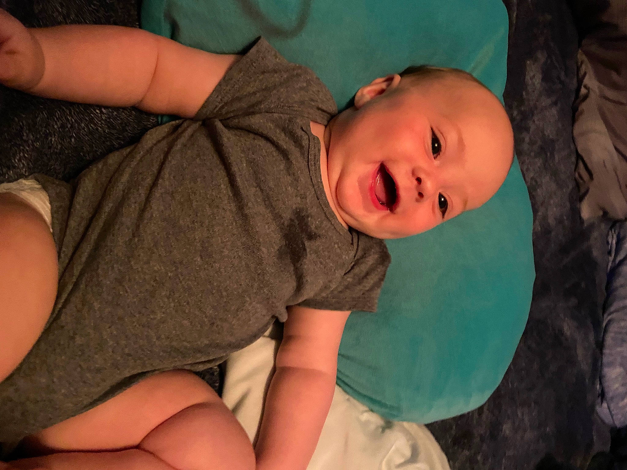 Wolfe joined the competition — help win amazing prizes! arm, baby, cheek, comfort, elbow, eye, finger, gesture, happy, human_body, iris, joint, mouth, muscle, neck, nose, person, skin, sleeve, smile