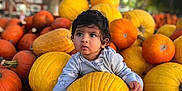 Vyom is registered to the contest to win money with this photo: autumn, baby, child, colorful, curious, cute, fall, festive, harvest, holiday, nature, orange, outdoor, person, playful, portrait, pumpkin, seasonal, toddler, yellow