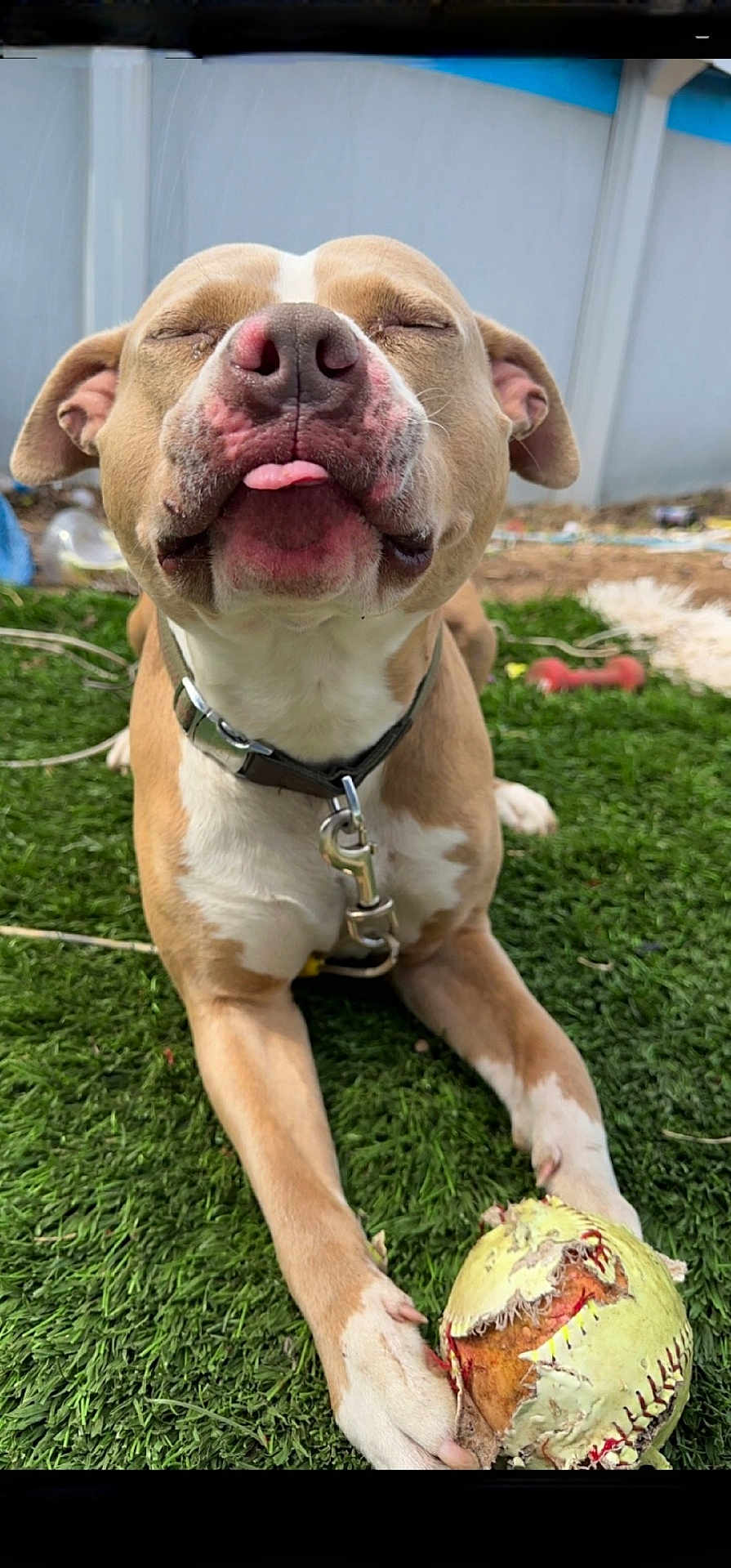 Chulo