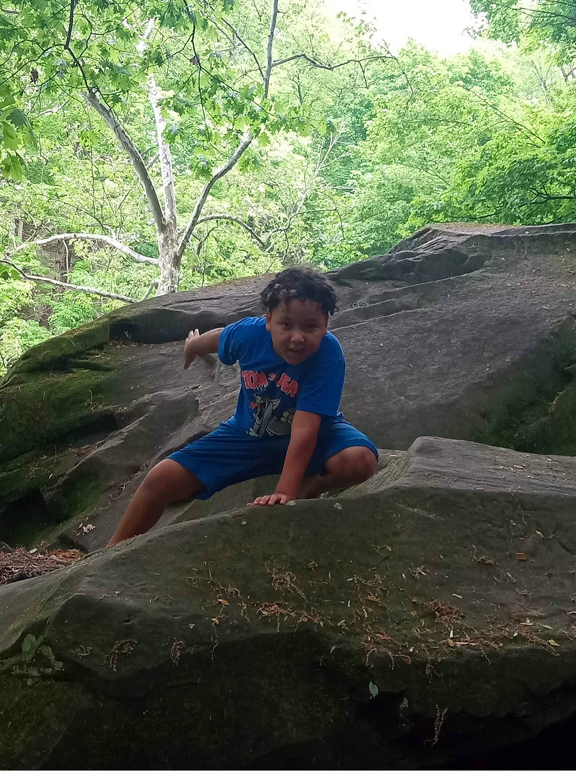 Gregory is registered to the contest to win money with this photo: bedrock, branch, forest, formation, grass, happy, landscape, leisure, outcrop, people_in_nature, person, plant_community, recreation, shorts, sunlight, t_shirt, tree, trunk, vegetation, wood
