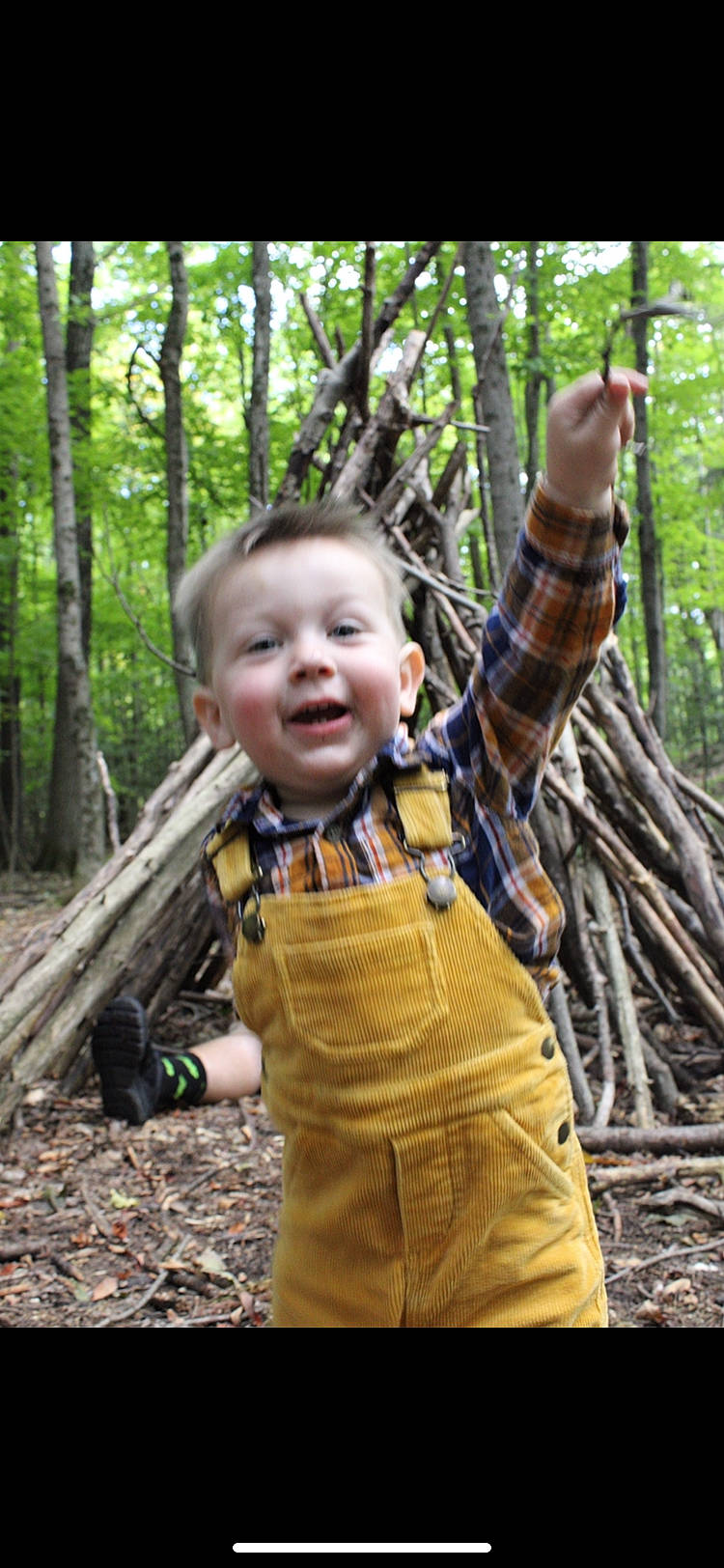 Henri is registered to the contest to win money with this photo: baby_toddler_clothing, branch, child, forest, fun, grass, happy, leisure, natural_environment, pattern, people_in_nature, person, plant, smile, terrestrial_plant, toddler, tree, trunk, wood, woodland
