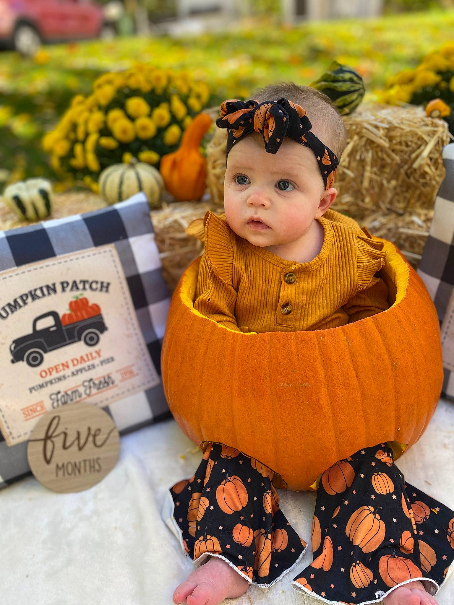 Aubree joined the competition — help win amazing prizes! baby, baby_toddler_clothing, calabaza, child, design, doll, event, fashion_accessory, flooring, flower, fur, headwear, natural_foods, orange, pattern, person, plant, pumpkin, toddler, toy