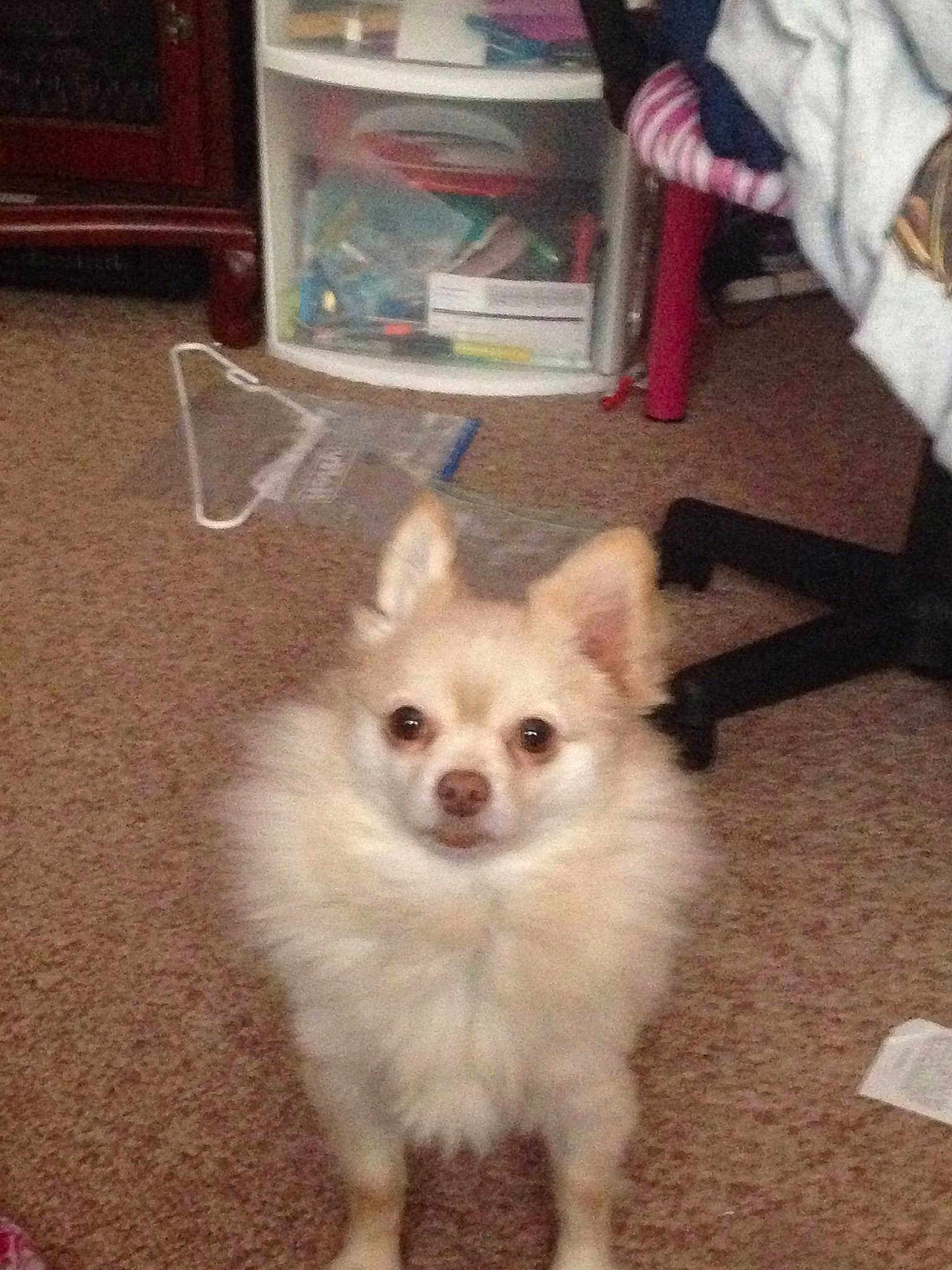 Romeo