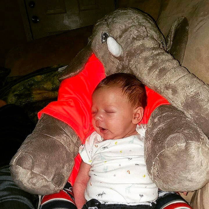 Chase joined the competition — help win amazing prizes! baby, child, person, sleep, toddler