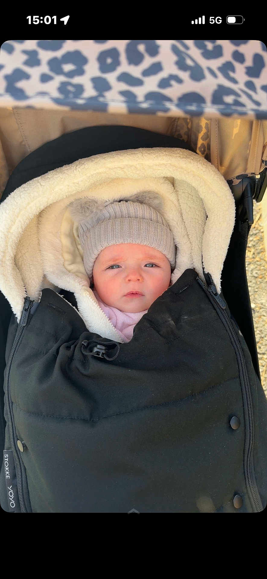 Adriana participe au concours pour gagner de l'argent avec cette photo : baby, infant, stroller, pram, beanie, hat, blanket, cozy, bundled, winter_clothing, portrait, face, blue_eyes, rosy_cheeks, zipper, fabric, texture, outdoor, canopy, cute