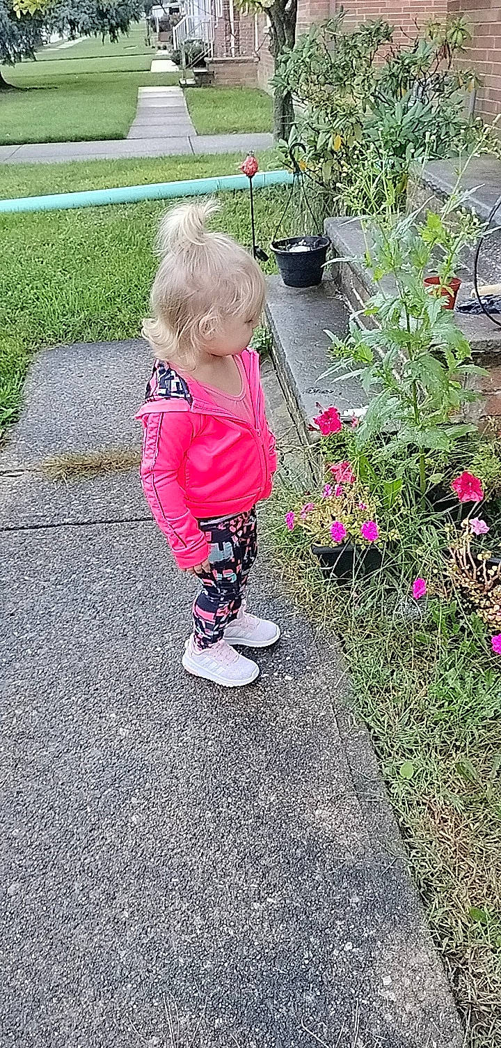 Raelynn joined the competition — help win amazing prizes! annual_plant, asphalt, baby_toddler_clothing, child, driveway, flower, flowerpot, garden, grass, groundcover, landscape, people_in_nature, person, plant, play, road_surface, shrub, sidewalk, toddler, walking