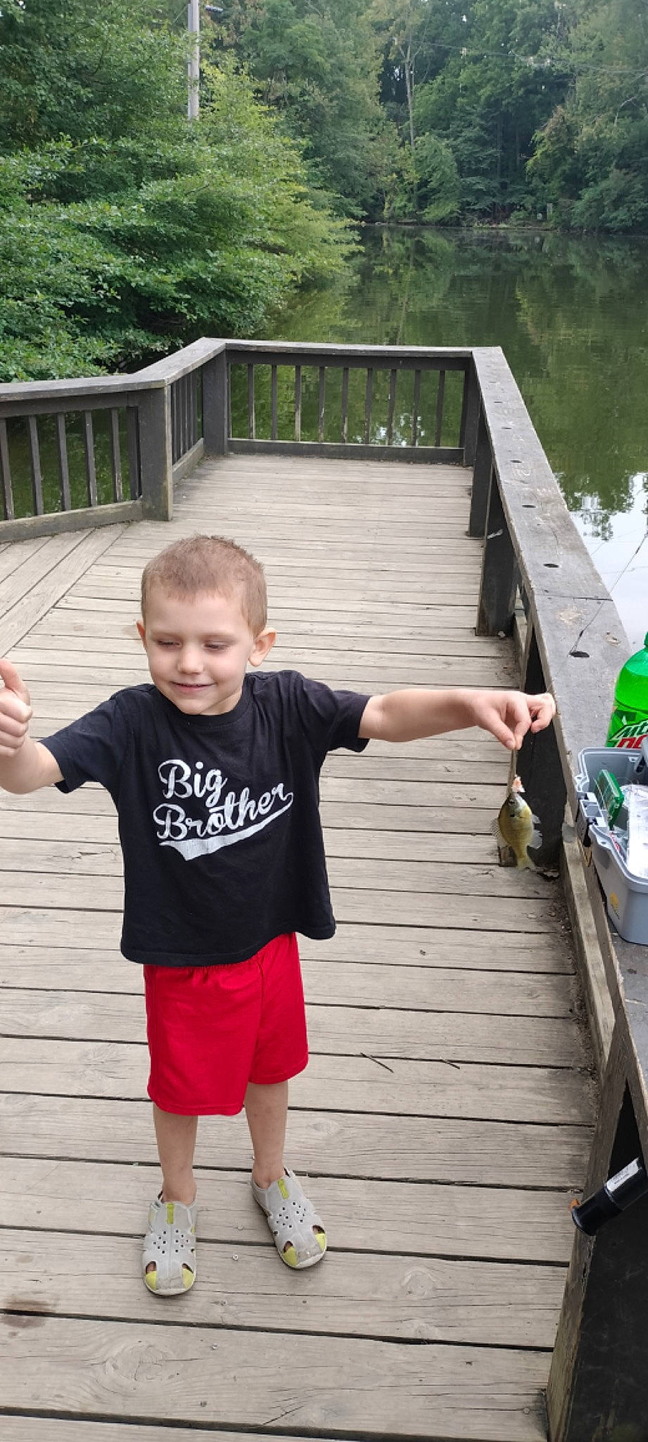 Wyatt joined the competition — help win amazing prizes! boats_and_boating_equipment_and_supplies, child, dock, fun, green, handrail, happy, joy, lake, leisure, person, recreation, shorts, sleeve, smile, t_shirt, toddler, tree, vacation, water