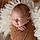 Thibault