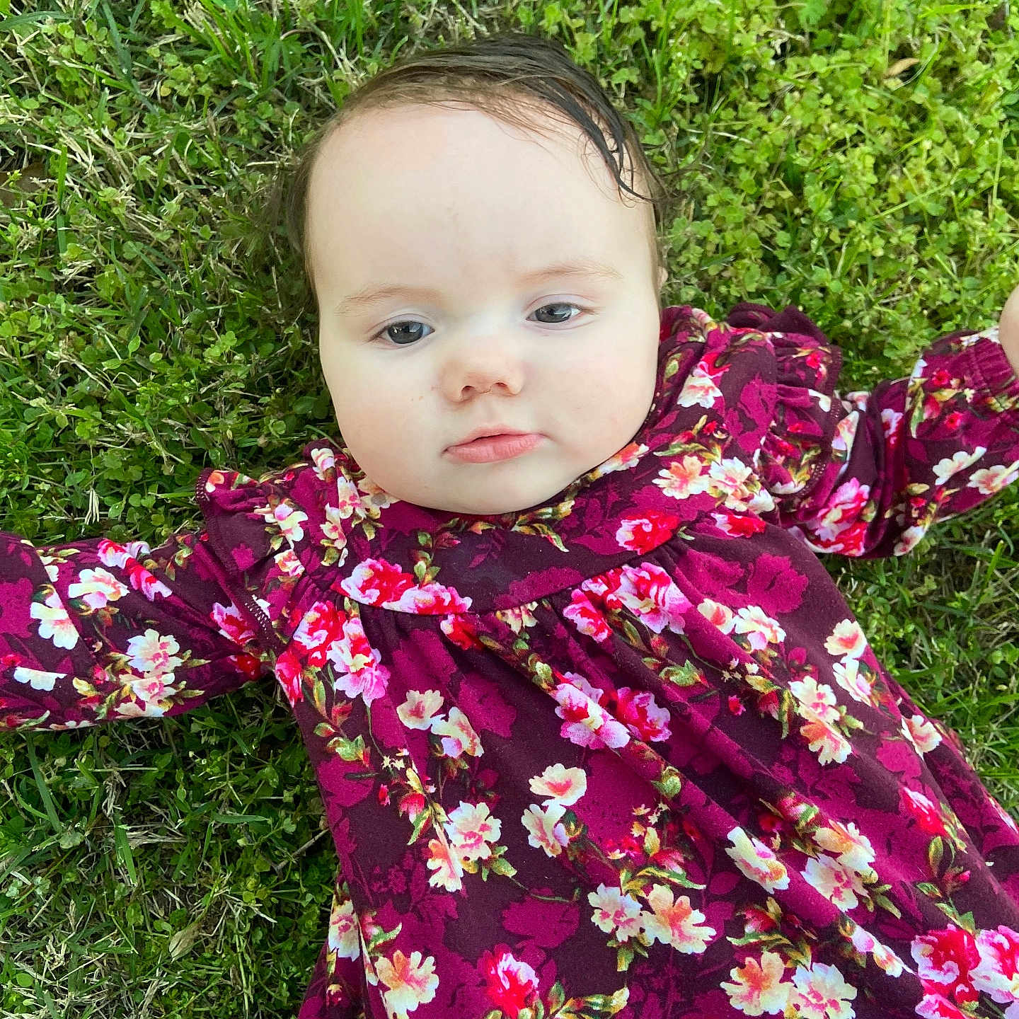 Isabella