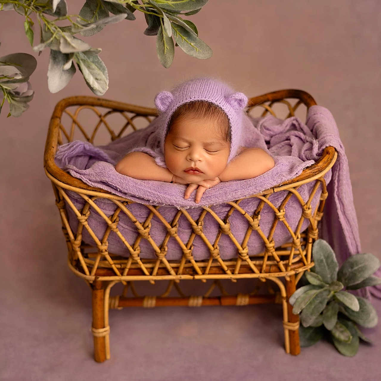 Ahaan is registered to the contest to win money with this photo: baby, blanket, child, cozy, cute, green_leaves, hat, infant, knit_hat, lavender, newborn, peaceful, plant, portrait, purple, resting, sleeping, soft_fabric, studio, wicker_cradle