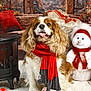 Laïko participe au concours pour gagner de l'argent avec cette photo : dog, scarf, winter, snow, snowman, holiday, decorations, window, cozy, red, white, brown, fur, pet, indoor, festive, ornaments, knitted, warm, seasonal