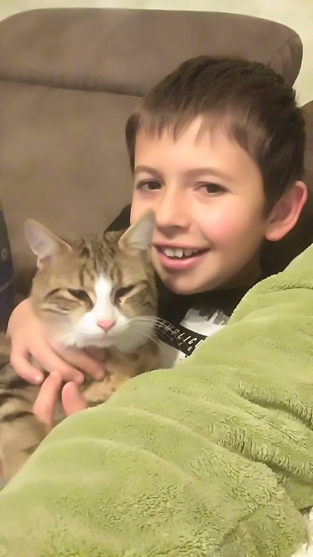 Robin participe au concours pour gagner de l'argent avec cette photo : cat, cat_like_mammal, domestic_short_haired_cat, joy, kitten, mammal, nap, person, skin, small_to_medium_sized_cats, vertebrate, whiskers