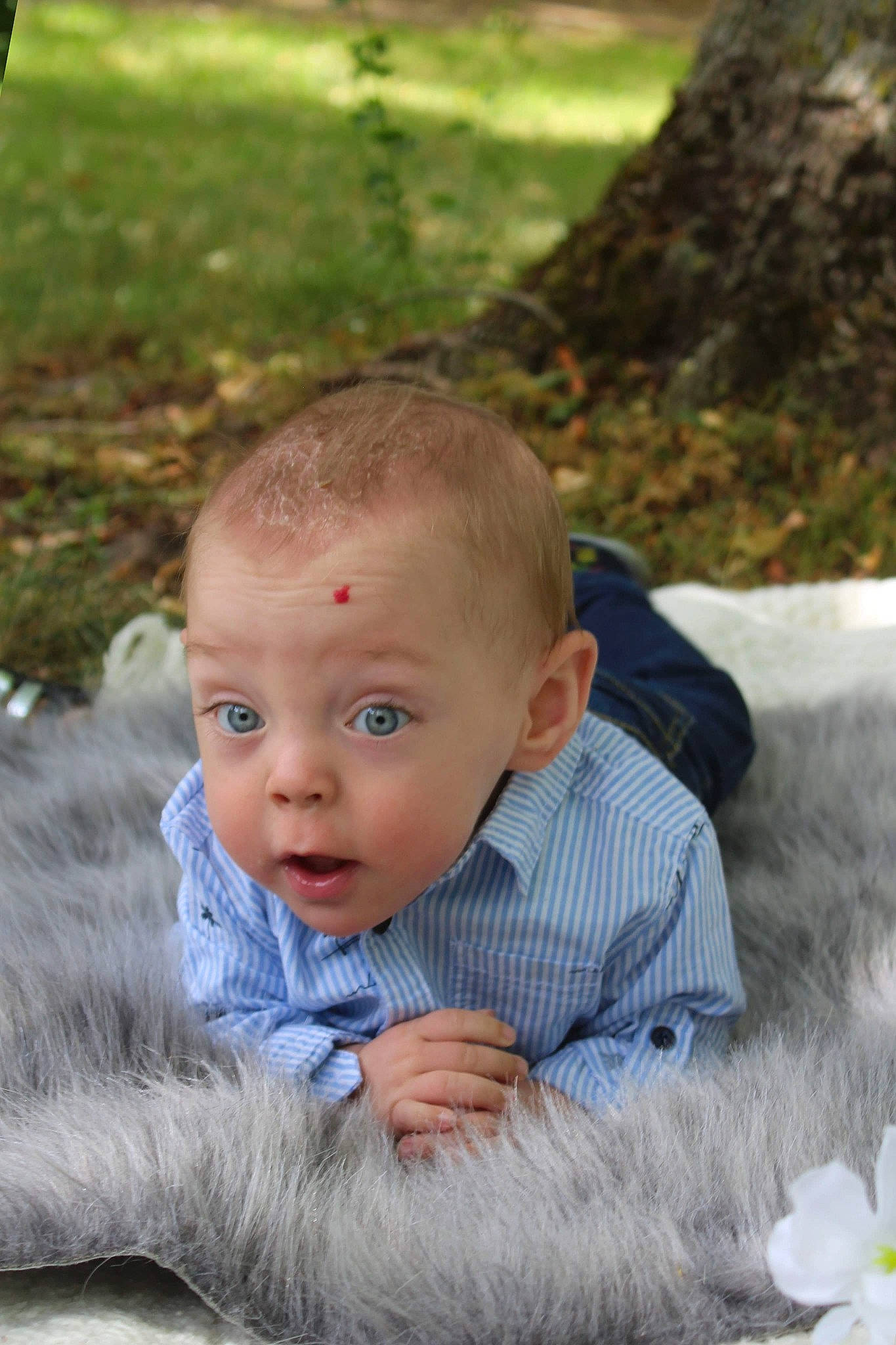 Thélio participe au concours pour gagner de l'argent avec cette photo : baby, child, eye, face, grass, head, person, photography, portrait_photography, sitting, skin, surprise, toddler