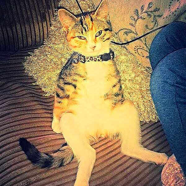 Narla joined the competition — help win amazing prizes!