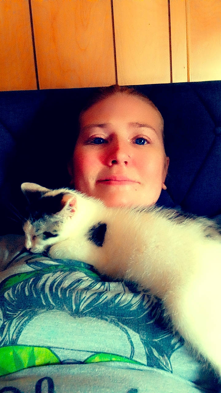 Tank is registered to the contest to win money with this photo: carnivore, cat, child, companion_dog, cool, domestic_short_haired_cat, eye, eyebrow, felidae, fur, happy, head, iris, mammal, paw, small_to_medium_sized_cats, smile, textile, vertebrate, whiskers