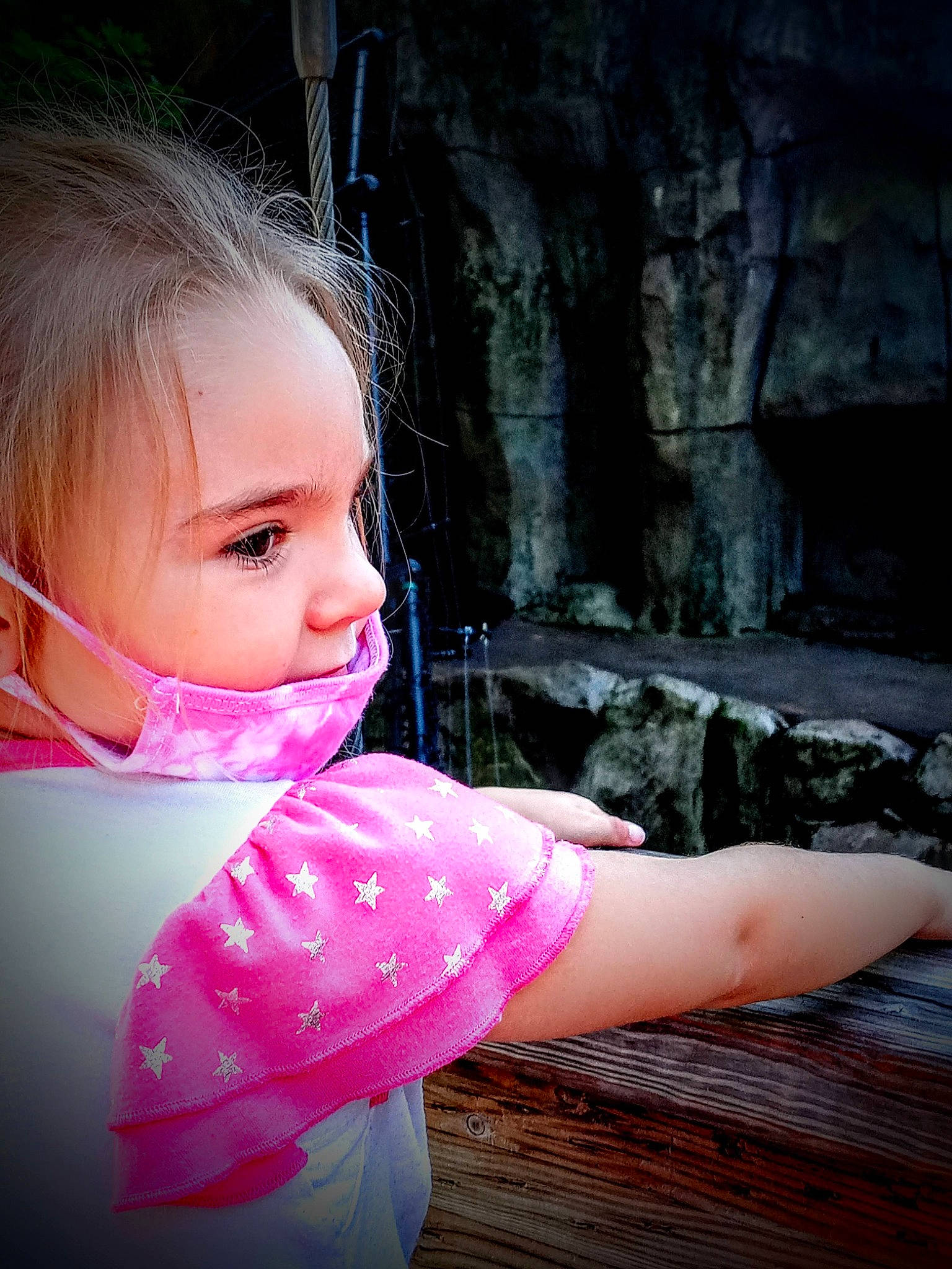 Breanna is registered to the contest to win money with this photo: child, eye, eyelash, flash_photography, fun, grass, happy, human_body, leisure, lip, magenta, people_in_nature, person, pink, sitting, skin, smile, toddler, tree, window