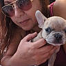 Sunny is registered to the contest to win money with this photo: woman, person, dog, puppy, french_bulldog, pet, animal, sunglasses, portrait, close_up, indoors, bed, bedding, hand, holding, cuddling, wrinkles, brown_hair, pink_clothing, toy