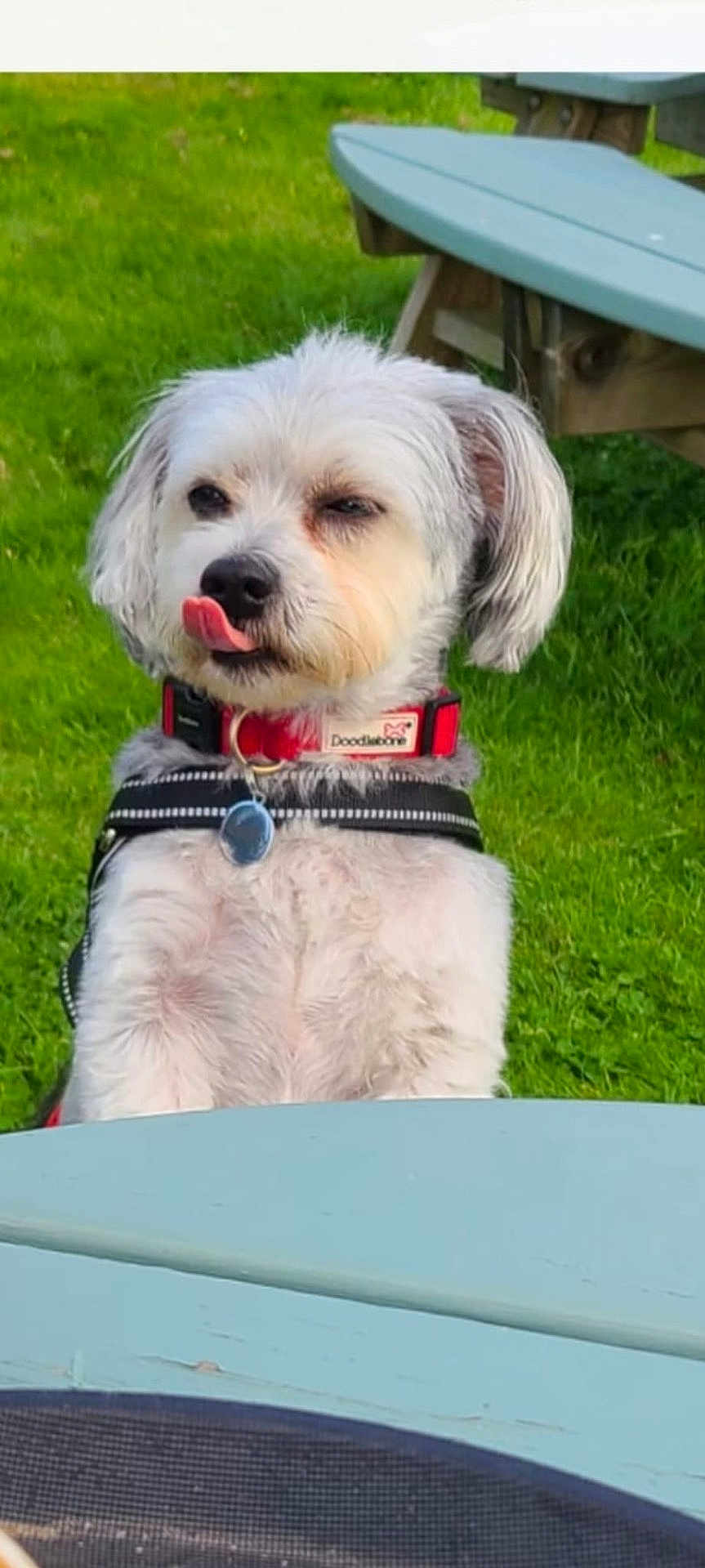 Bobby