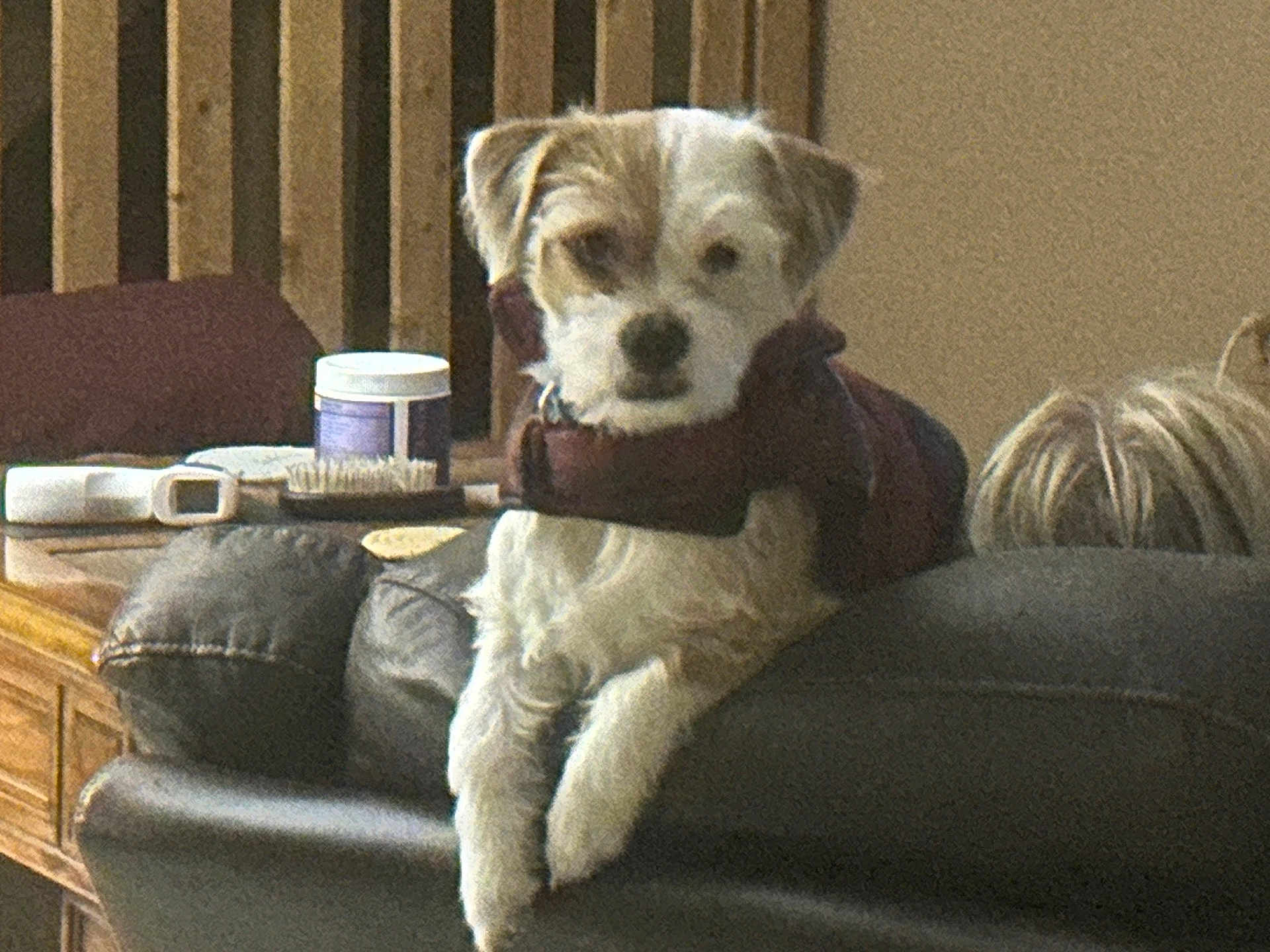 Jax