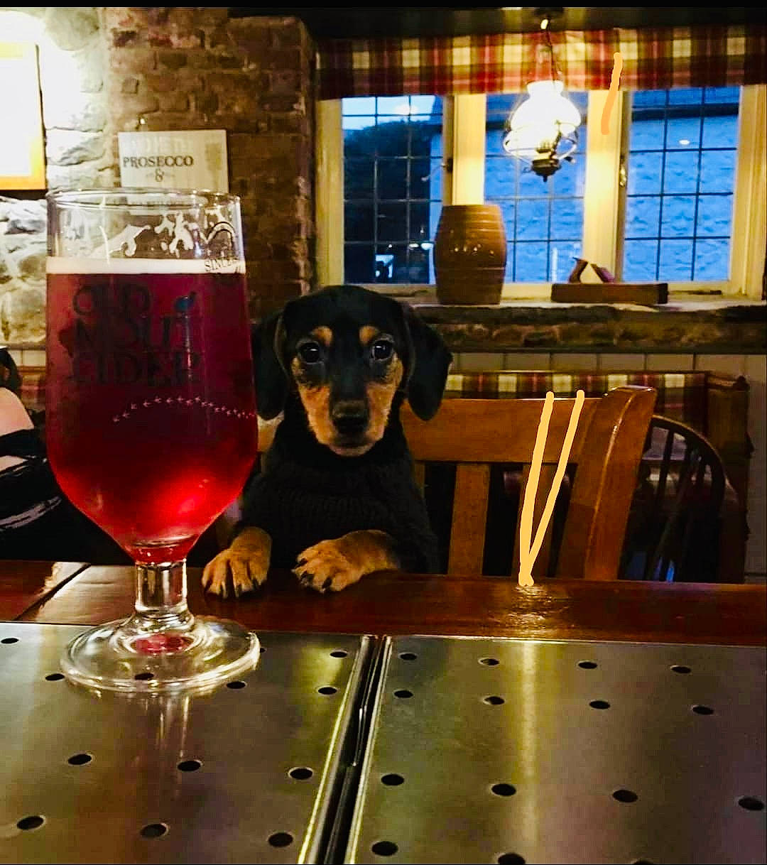 Lizzy joined the competition — help win amazing prizes! alcoholic_beverage, aperitif, barware, beer_glass, carnivore, chair, champagne_stemware, classic_cocktail, cocktail, dog, drink, drinkware, glass, ingredient, kir_royale, stemware, table, tableware, window, wine