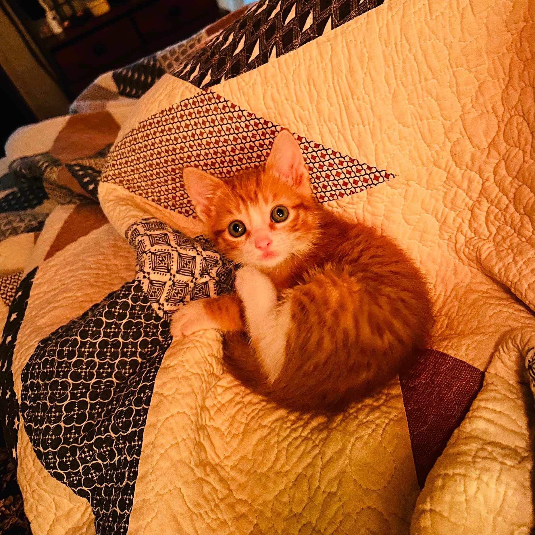 Nimbus