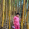 Angelina is registered to the contest to win money with this photo: child, bamboo, nature, forest, tree, plant, green, outdoor, person, pink_clothing, pajamas, handbag, sandals, young_child, standing, leaves, ground, tall_plants, adventure, curious