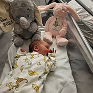 Lyra-Lily joined the competition — help win amazing prizes! newborn, baby, hospital, bassinet, plush_toy, elephant, bunny, onesie, sleeping, infant, bed, blanket, cute, soft_toy, baby_clothes, child, crib, toddler, animal_print, nursery