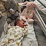 newborn, baby, hospital, bassinet, plush_toy, elephant, bunny, onesie, sleeping, infant, bed, blanket, cute, soft_toy, baby_clothes, child, crib, toddler, animal_print, nursery