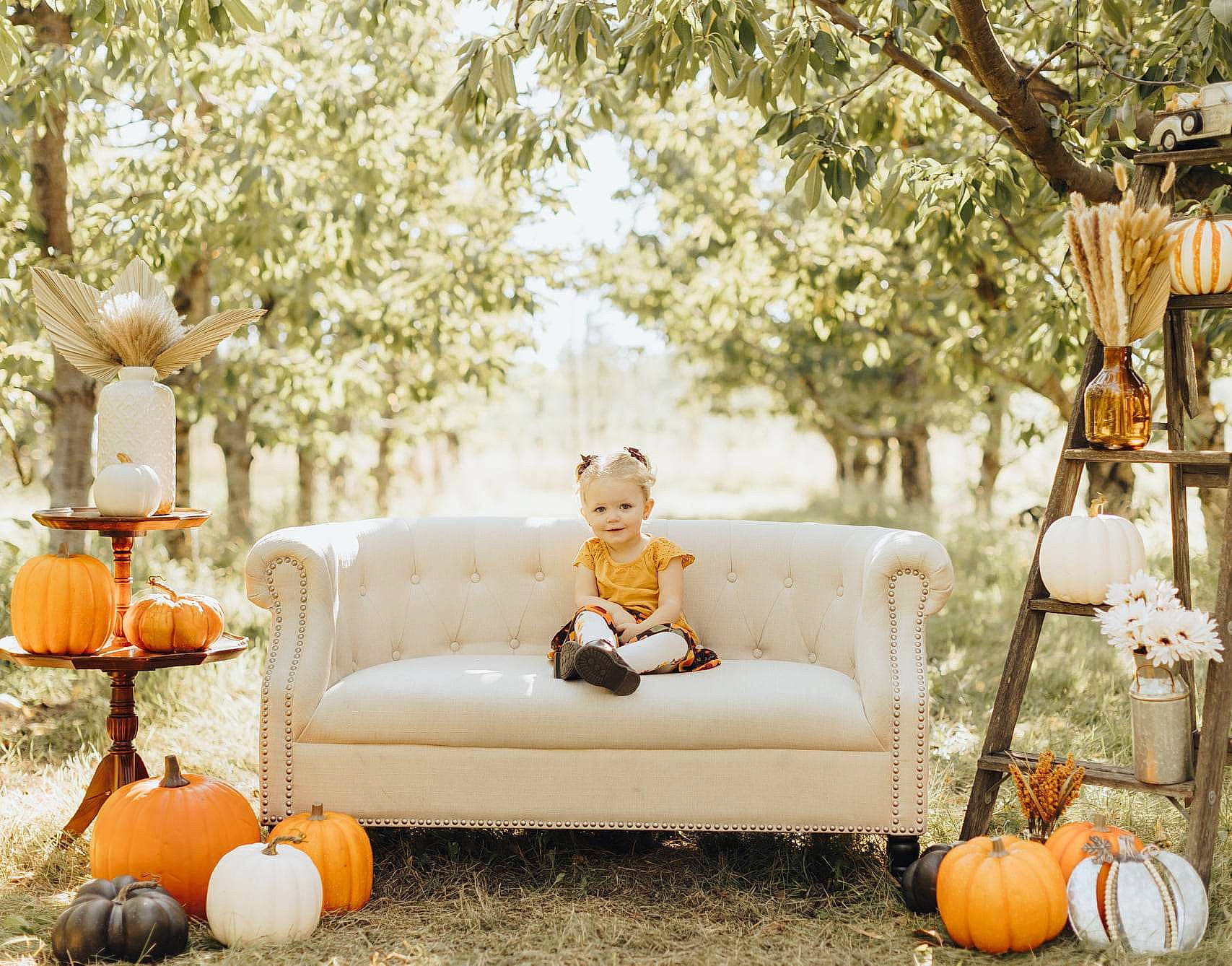 Charlotte joined the competition — help win amazing prizes! branch, calabaza, comfort, couch, cucurbita, decoration, gourd, grass, happy, interior_design, joy, leaf, leisure, living_room, mammal, morning, orange, person, plant, pumpkin