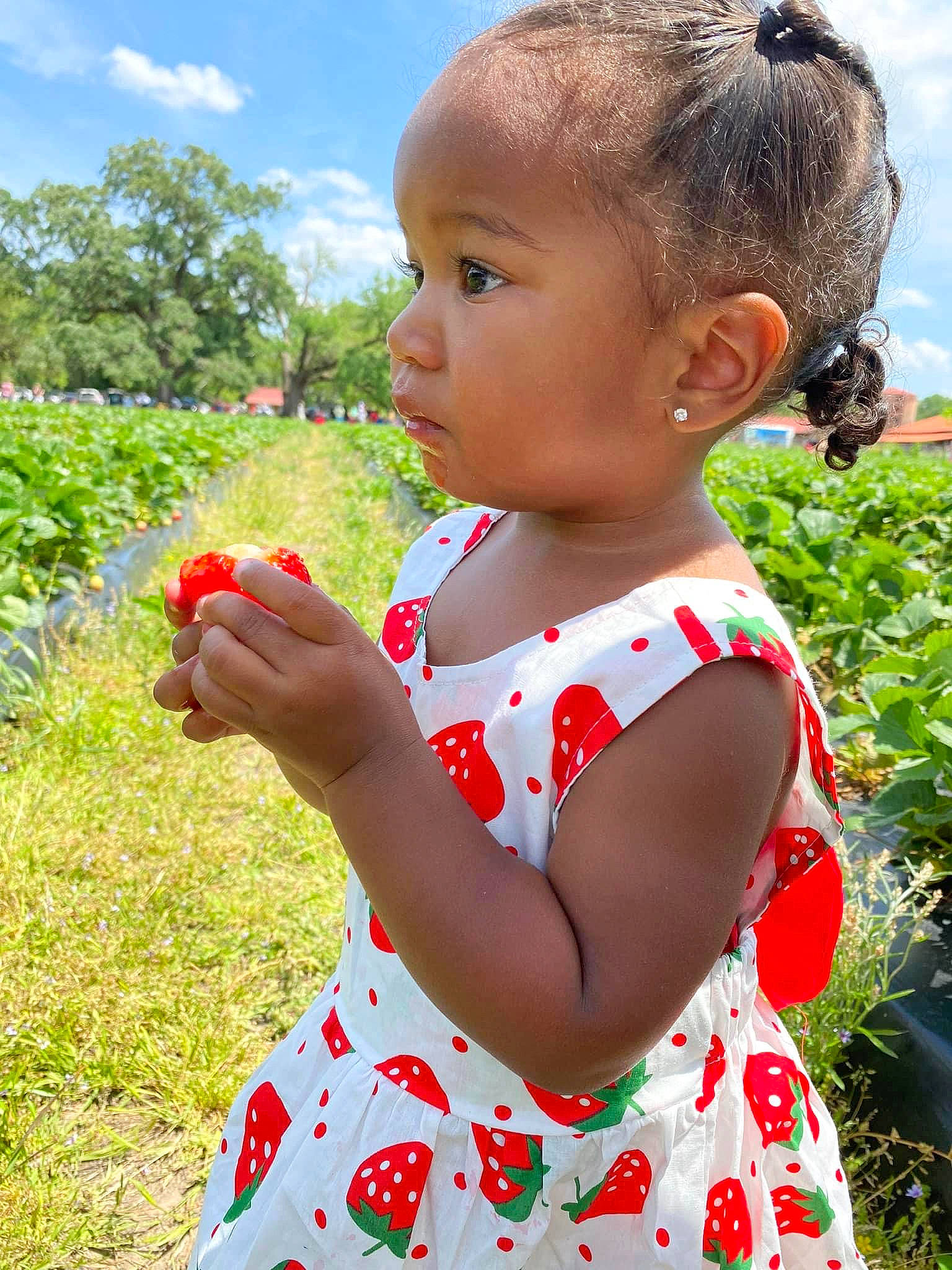 Ava joined the competition — help win amazing prizes! apple, baby, baby_toddler_clothing, botany, cloud, dress, food, fruit, gesture, grass, grass_family, happy, leaf, natural_foods, people_in_nature, person, plant, skin, sky, toddler