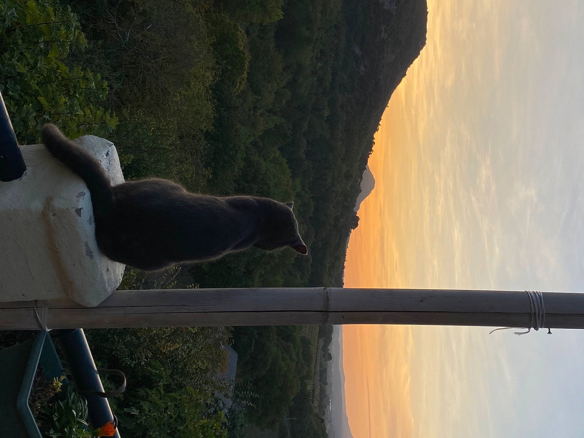 Mimoune participe au concours pour gagner de l'argent avec cette photo : art, automotive_exterior, automotive_lighting, cloud, heat, landscape, plant, reflection, sculpture, shadow, sky, vehicle_door, water, wood