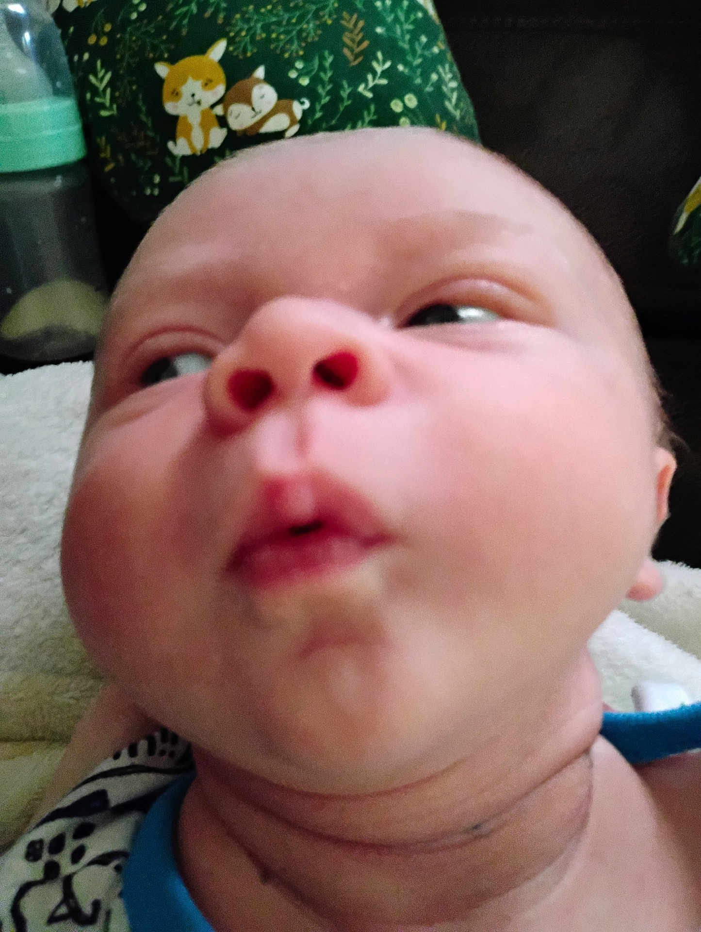 Michael is registered to the contest to win money with this photo: baby, closeup, face, cheeks, expression, puckered_lips, infant, bottle, pillow, animal_print, green, blanket, soft, indoors, skin, head, neck, clothing, cute, child