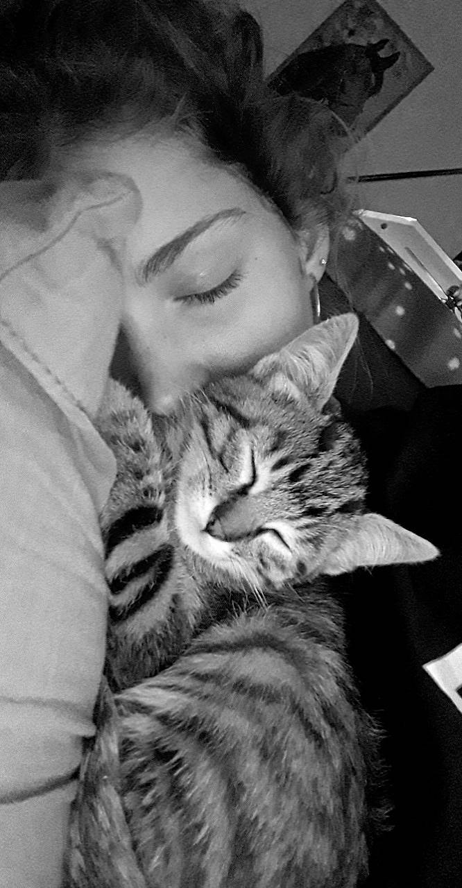 Phoenix participe au concours pour gagner de l'argent avec cette photo : asian, black_and_white, carnivore, cat, domestic_short_haired_cat, ear, eye, felidae, fur, kitten, monochrome, monochrome_photography, nose, photograph, photography, small_to_medium_sized_cats, snapshot, style, tabby_cat, whiskers