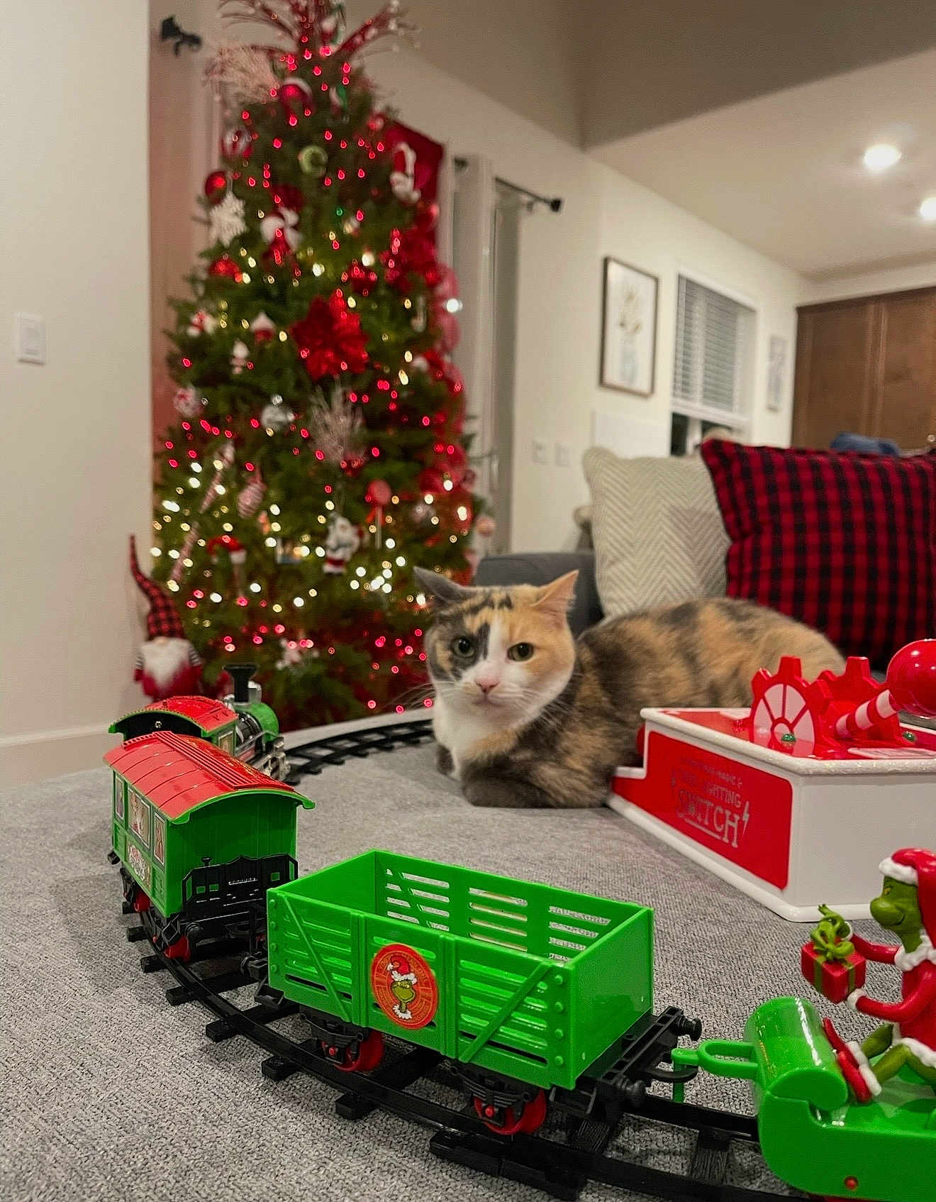 Baby Rod joined the competition — help win amazing prizes! cat, calico_cat, christmas_tree, toy_train, train_tracks, living_room, ornaments, string_lights, holiday, decoration, couch, pillow, plaid_pattern, figurine, carpet, window, cozy, festive, gift, seasonal