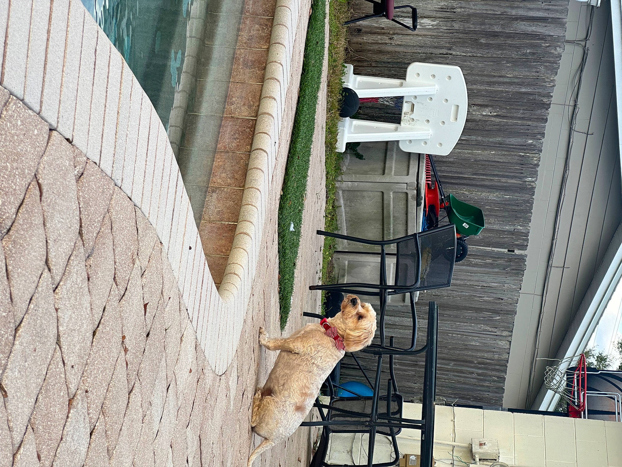 Gustavo joined the competition — help win amazing prizes! building, composite_material, concrete, daylighting, electrical_supply, facade, handrail, house, line, metal, mixed_use, pedestrian, room, street, urban_design, window, wire, wood