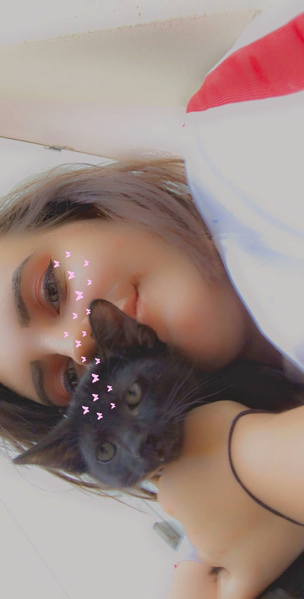 Oreo a rejoint le concours — aidez-le/la à gagner de superbes lots ! black_hair, carnivore, cat, comfort, cosmetics, dress, eye, eyelash, fawn, felidae, fur, human_body, human_leg, iris, leg, long_hair, skin, small_to_medium_sized_cats, snout, whiskers