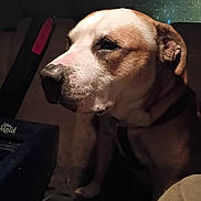 Boy joined the competition — help win amazing prizes!