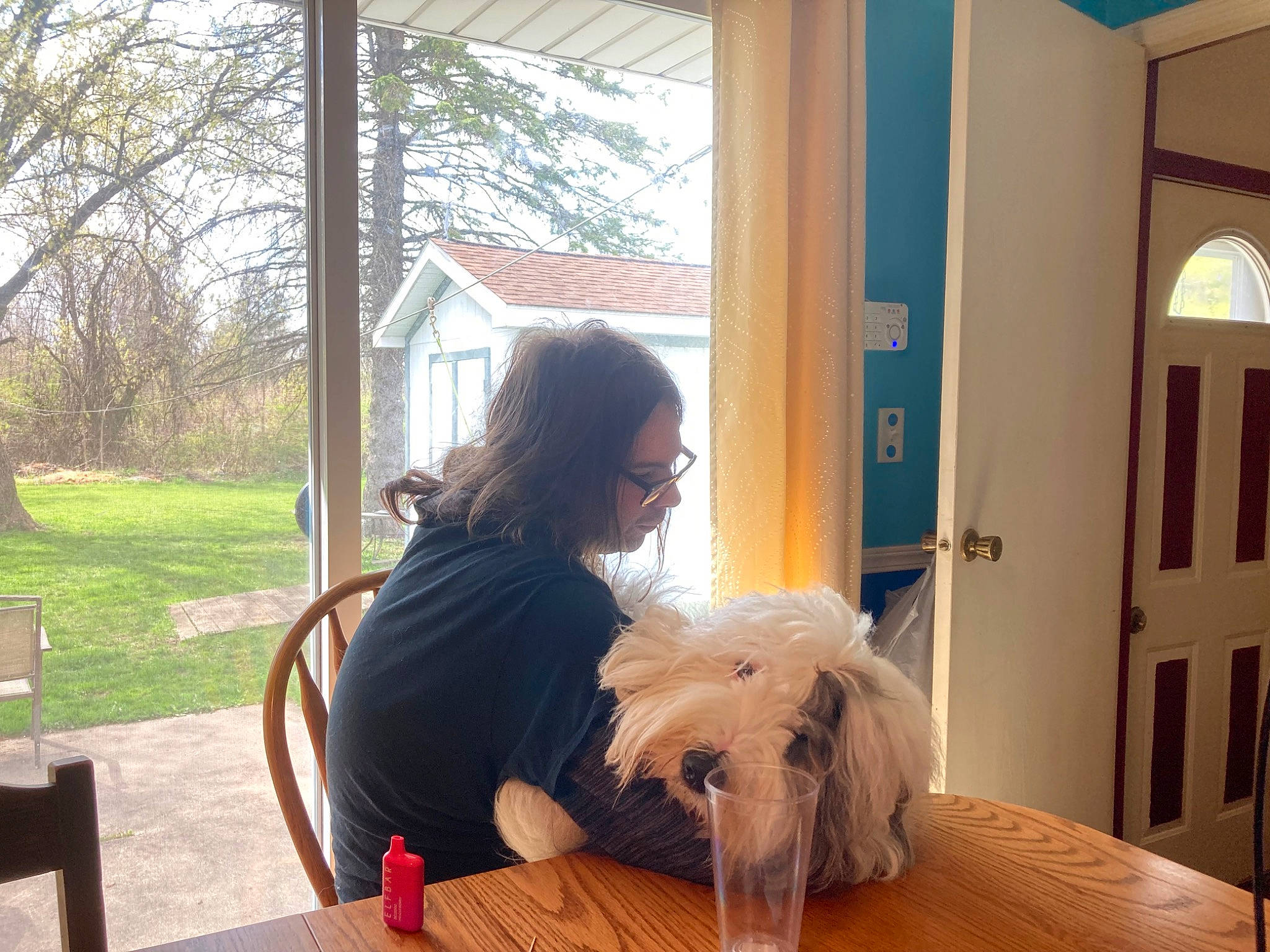 Zenni joined the competition — help win amazing prizes! chair, comfort, companion_dog, dog, dog_breed, door, flooring, fur, furniture, hardwood, home, house, plant, room, sitting, table, toy_dog, tree, window, wood