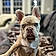 Tyson