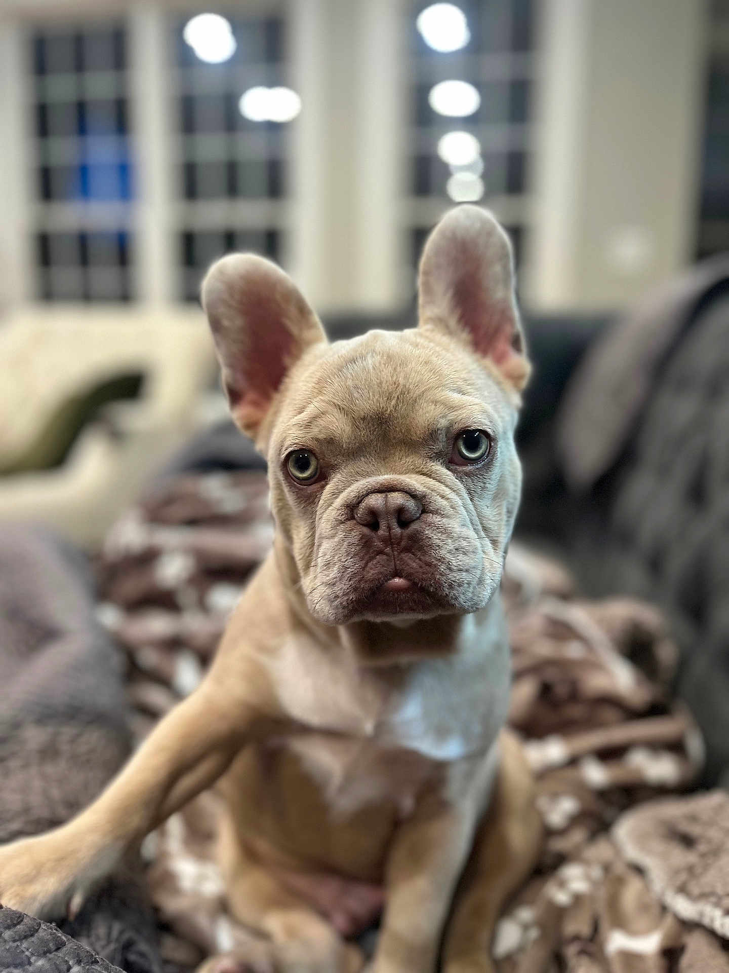 Tyson