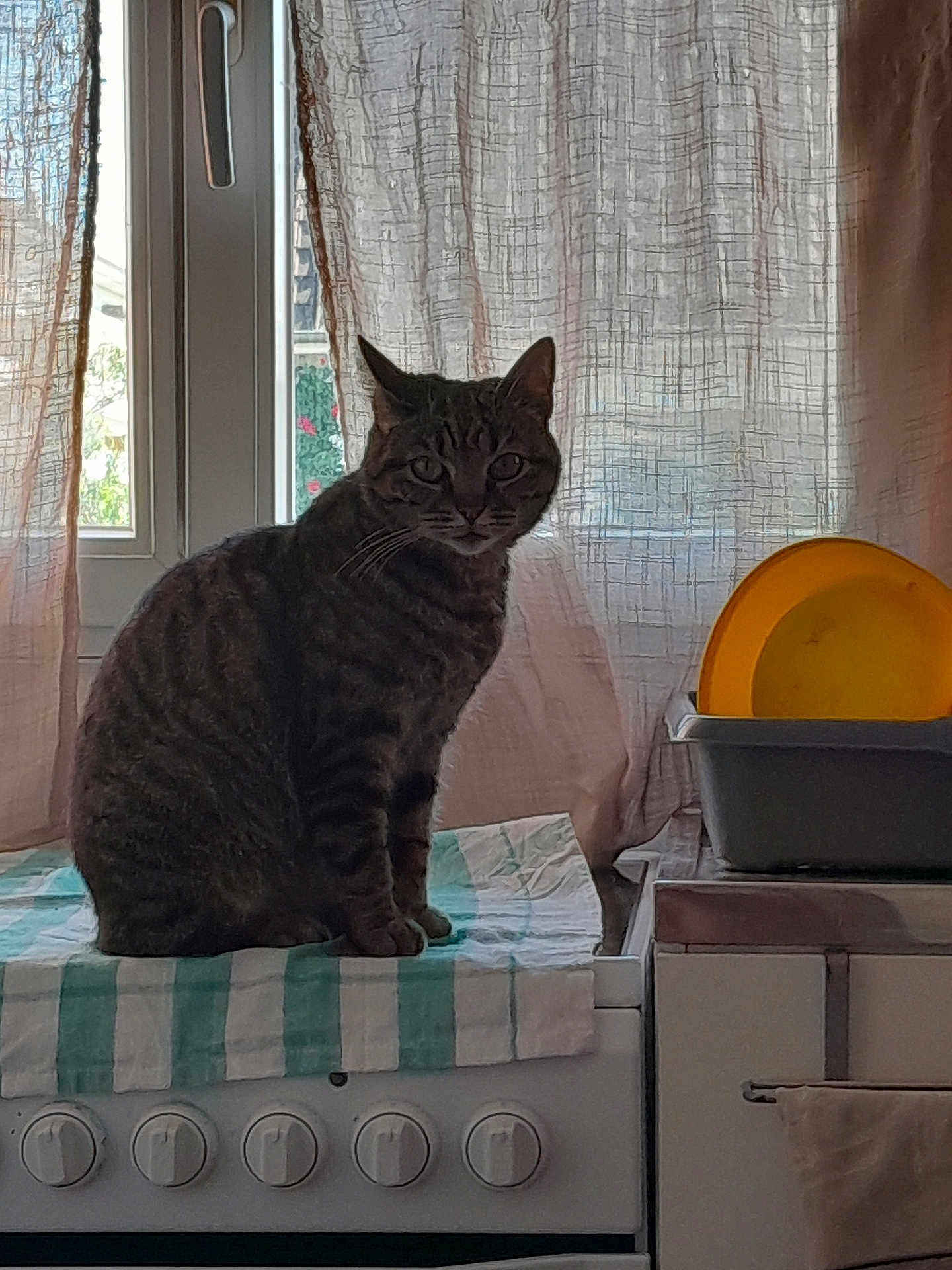 Moumousse