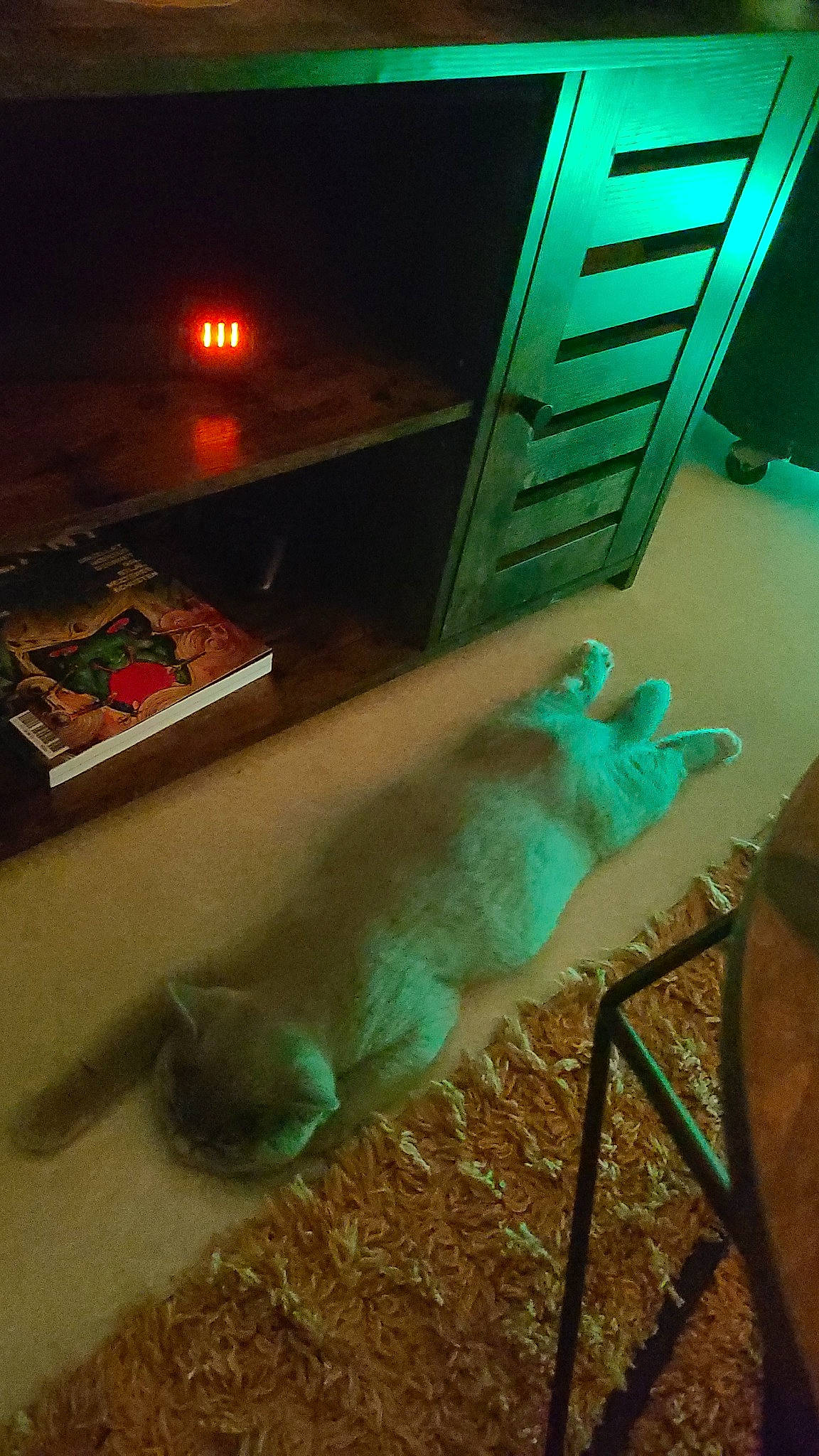 Erza a rejoint le concours — aidez-le/la à gagner de superbes lots ! art, chair, electric_blue, felidae, flooring, foot, fun, fur, gas, glass, green, human_leg, plastic, room, small_to_medium_sized_cats, table, tail, tints_and_shades, visual_arts, wood