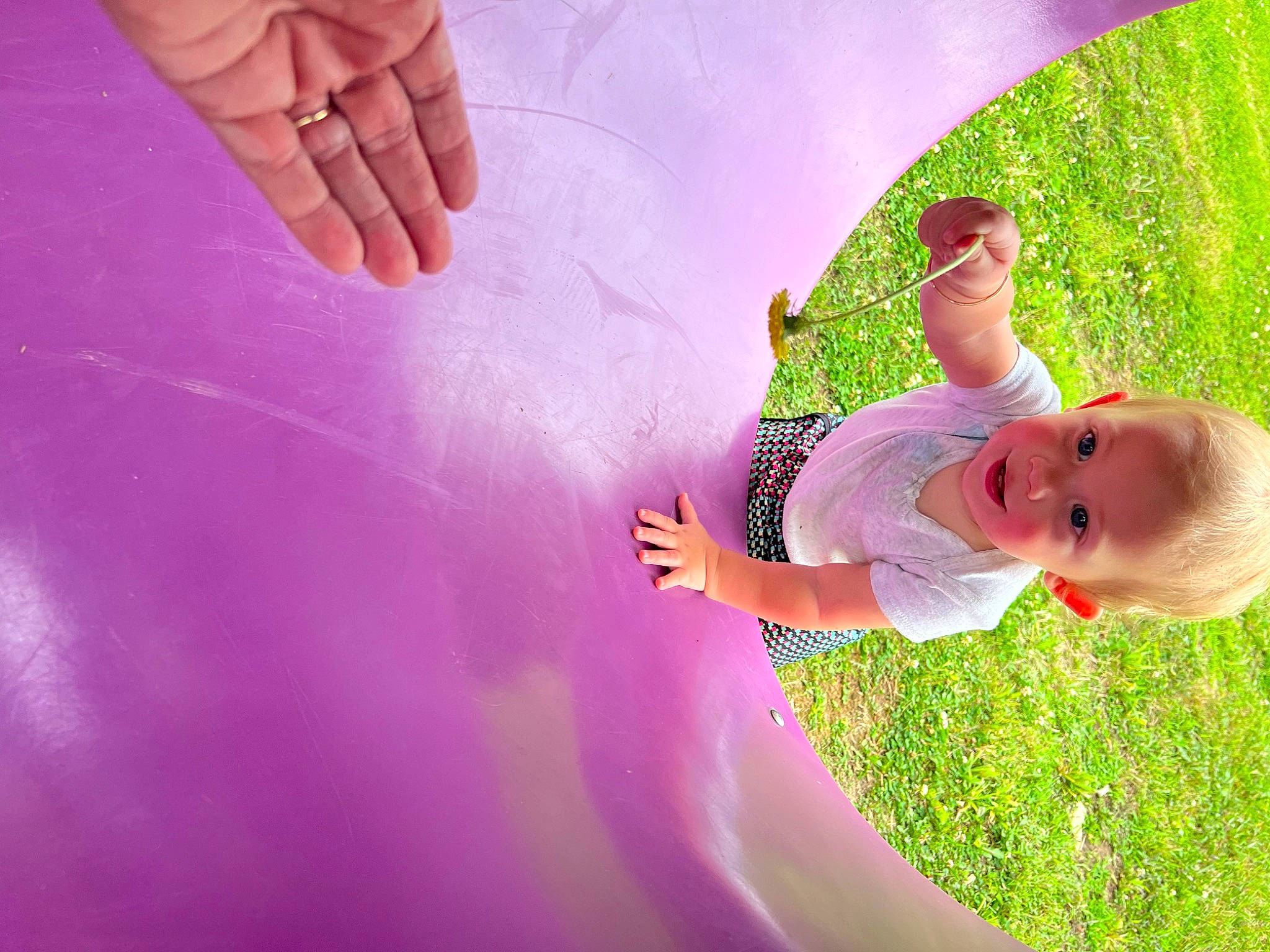 Heidi is registered to the contest to win money with this photo: arm, baby, child, finger, flash_photography, fun, gesture, grass, hand, happy, hat, leisure, magenta, people_in_nature, person, pink, plant, purple, skin, toddler