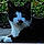 Tobie
