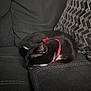 cat, black_cat, sleeping, collar, red, bow, couch, sofa, furniture, indoor, pet, animal, resting, cozy, fur, whiskers, pillow, patterned_pillow, domestic_cat, quiet